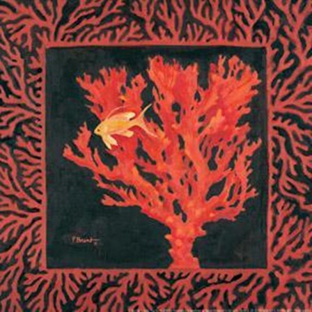 Sea Fan I by Paul Brent art print