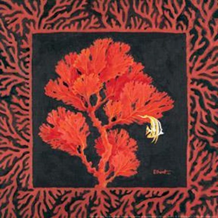 Sea Fan II by Paul Brent art print