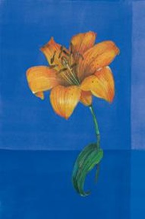 Flower On Blue by Paul Hargittai art print