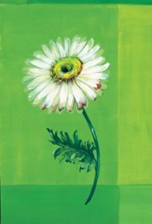 Flower On Green by Paul Hargittai art print