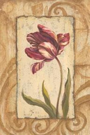 Classic Tulip II by Jillian Jeffrey art print