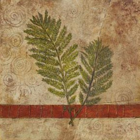 Nature Study 1 by John Kime art print