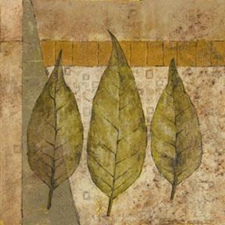 Nature Study 2 by John Kime art print