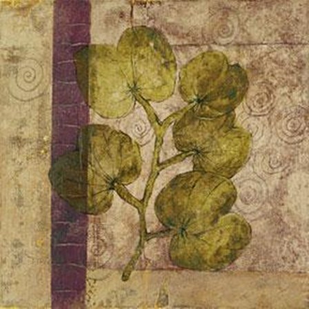 Nature Study 4 by John Kime art print