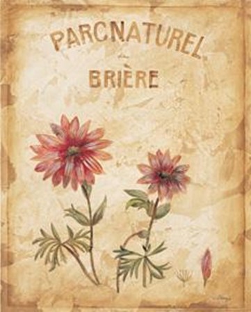 Parcnaturel I - Mini by Loretta Linza art print