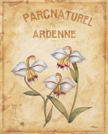 Parcnaturel II - Mini by Loretta Linza art print