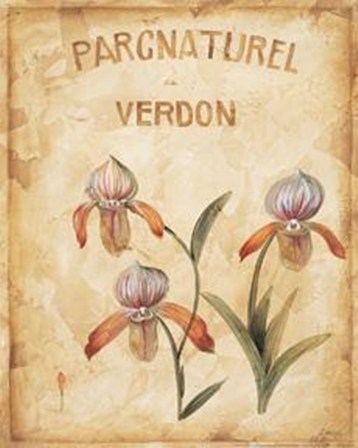 Parcnaturel IV - Mini by Loretta Linza art print