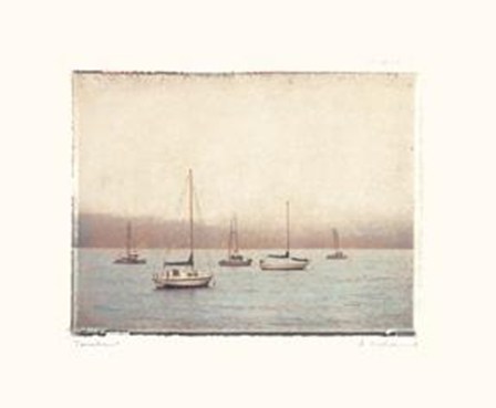 Tomales by Amy Melious art print