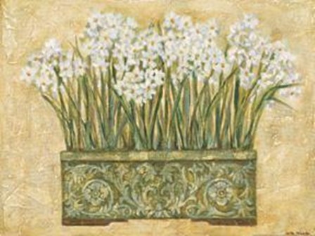 White Narcissus by Eva Misa art print