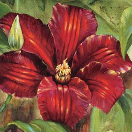 Rosa Odorada by Selina Werbelow art print