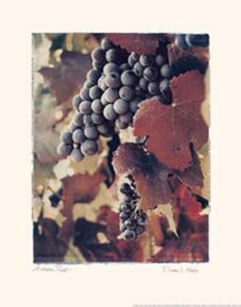 Autumn Print by Doreen Wynja art print