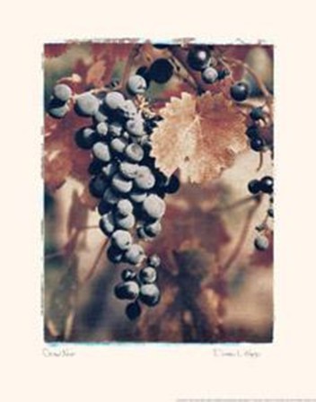 Grand Noir by Doreen Wynja art print