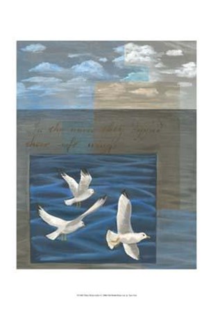 Three White Gulls I by Tara Friel art print
