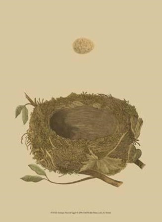 Antique Nest Egg I art print