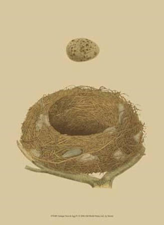 Antique Nest Egg IV art print