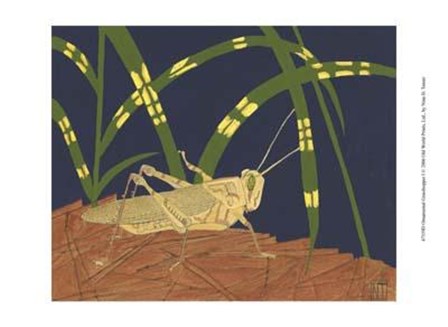 Ornamental Grasshopper I by Nina Tenser art print