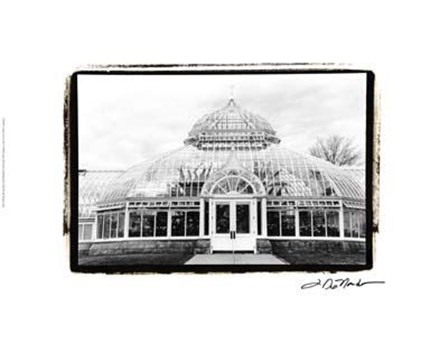 Conservatory III by Laura Denardo art print