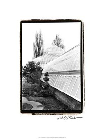 Conservatory IV by Laura Denardo art print