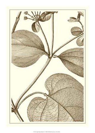 Cropped Sepia Botanical V art print