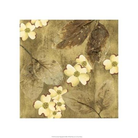 Sun-Kissed Dogwoods II by Nancy Slocum art print