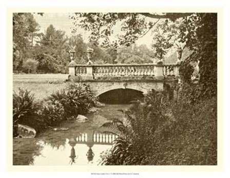 Sepia Garden View V art print