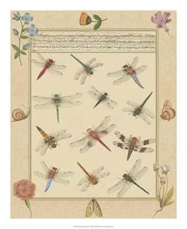 Dragonfly Manuscript I by Jaggu Prasad art print