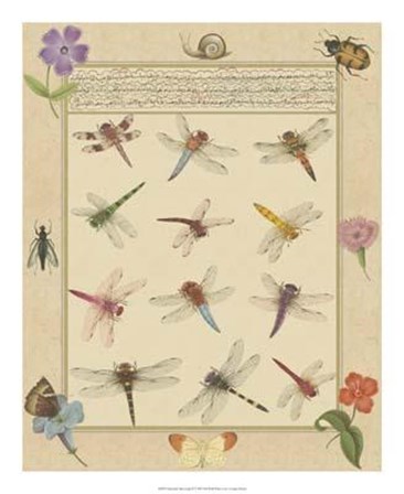 Dragonfly Manuscript II by Jaggu Prasad art print