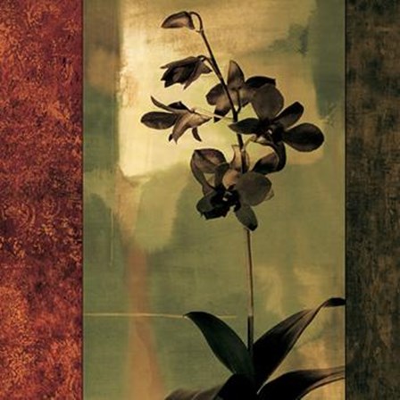 Mesmerized II art print