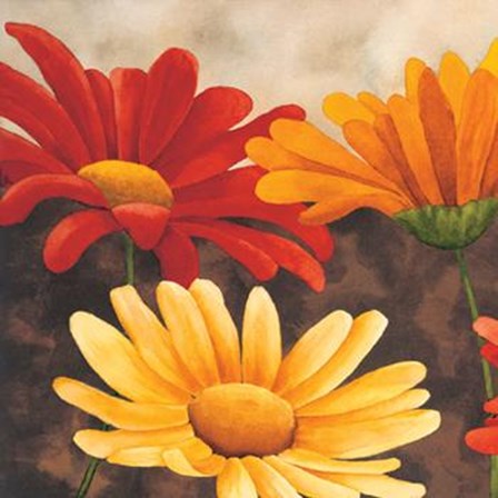 Margherite Variopinte I art print