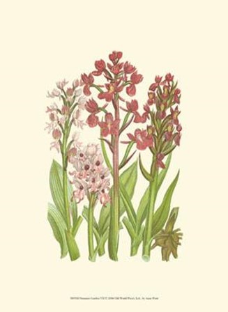 Summer Garden VII by Anne Pratt art print