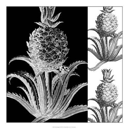 Pop Pineapple II by Vision Studio art print