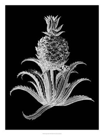 Pineapple Noir II by Vision Studio art print