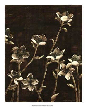 Blossom Nocturne II by Megan Meagher art print