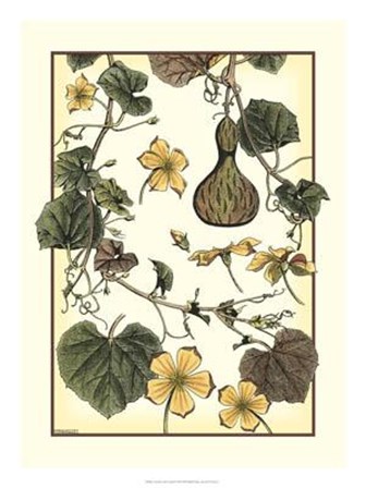 Arts And Crafts Gourd by M. P. Verneuil art print