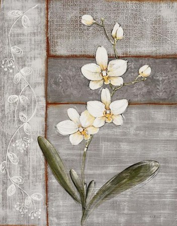 Orchid Shimmer I - Mini by O. Braun art print