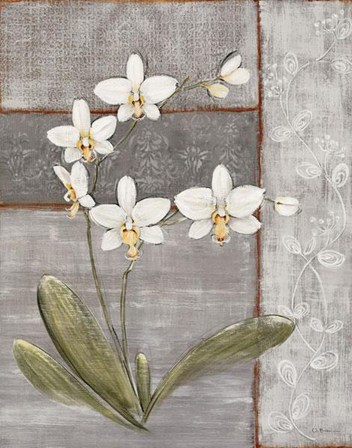 Orchid Shimmer II - Mini by O. Braun art print