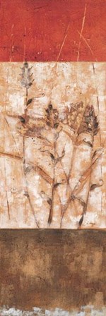 Fresco I - Cs by Loretta Linza art print