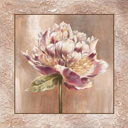 Pivoines I - Cs by Selina Werbelow art print