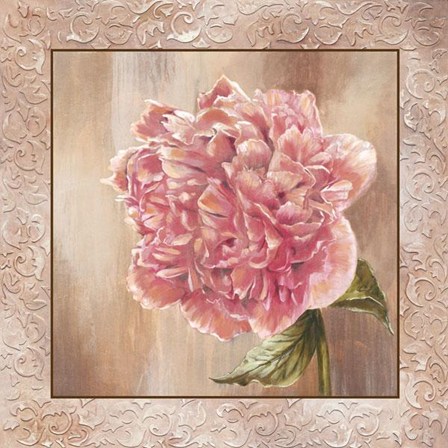 Pivoines II - Cs by Selina Werbelow art print