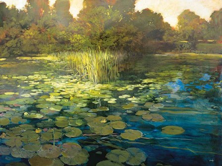 Waterlilies by Philip Craig art print