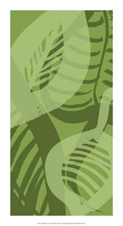Shades Of Green II by Alicia Ludwig art print