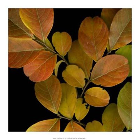 Vivid Leaves I art print