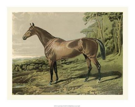Cassell&#39;s Horse IV art print