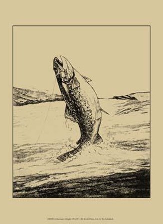 Fisherman&#39;s Delight I by William J. Schaldach art print