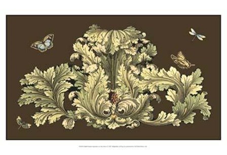 Small Nature&#39;s Splendor On Chocolate I by Michelangelo Pergolesi art print