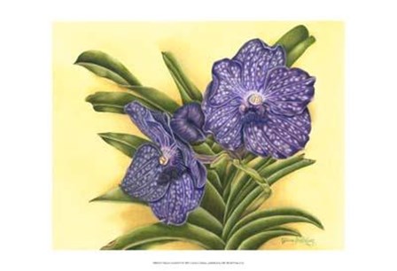 Vibrant Orchid III by Harry Callahan art print