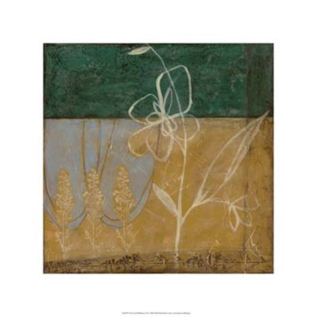 Pressed Wildflowers II by Jennifer Goldberger art print