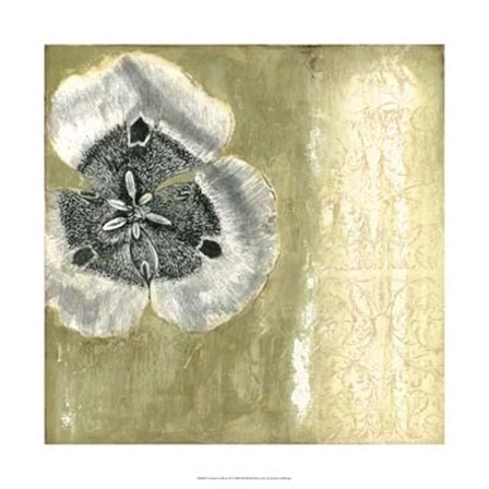 Celadon in Bloom II by Jennifer Goldberger art print