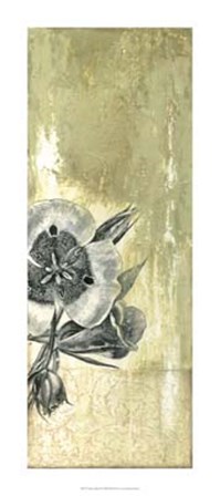 Celadon in Bloom III by Jennifer Goldberger art print