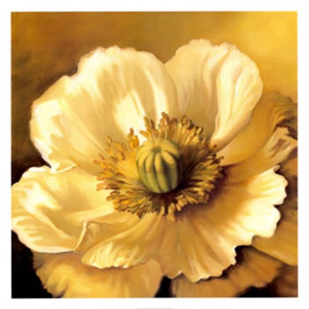 Poppy Portrait by Lisa Audit art print